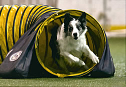 Kixx in the tunnel